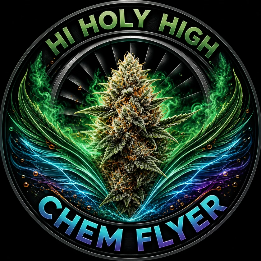 Top-rated round artwork for CHEM FLYER