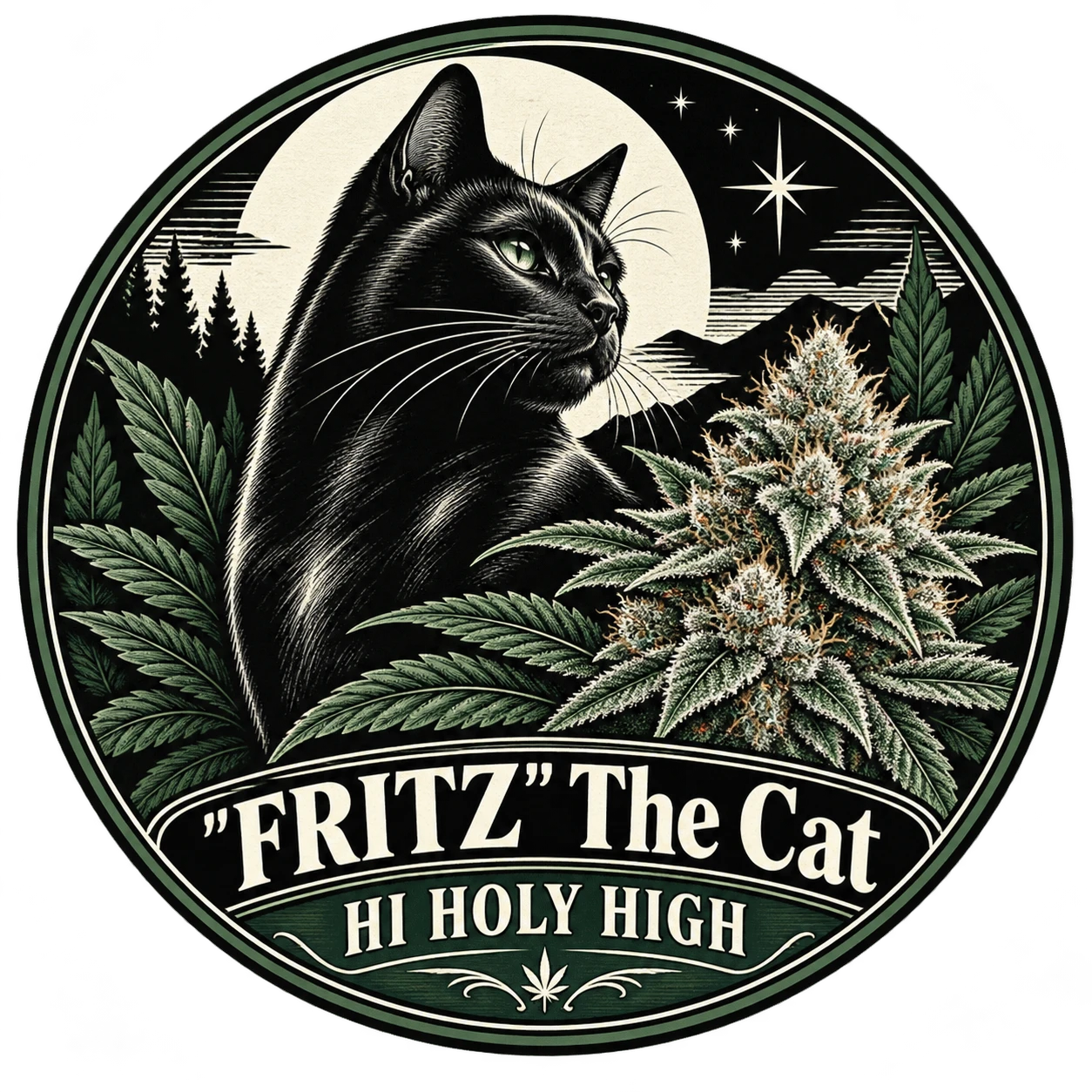 Vorläufiger Entwurf B-R2 · "FRITZ" The Cat