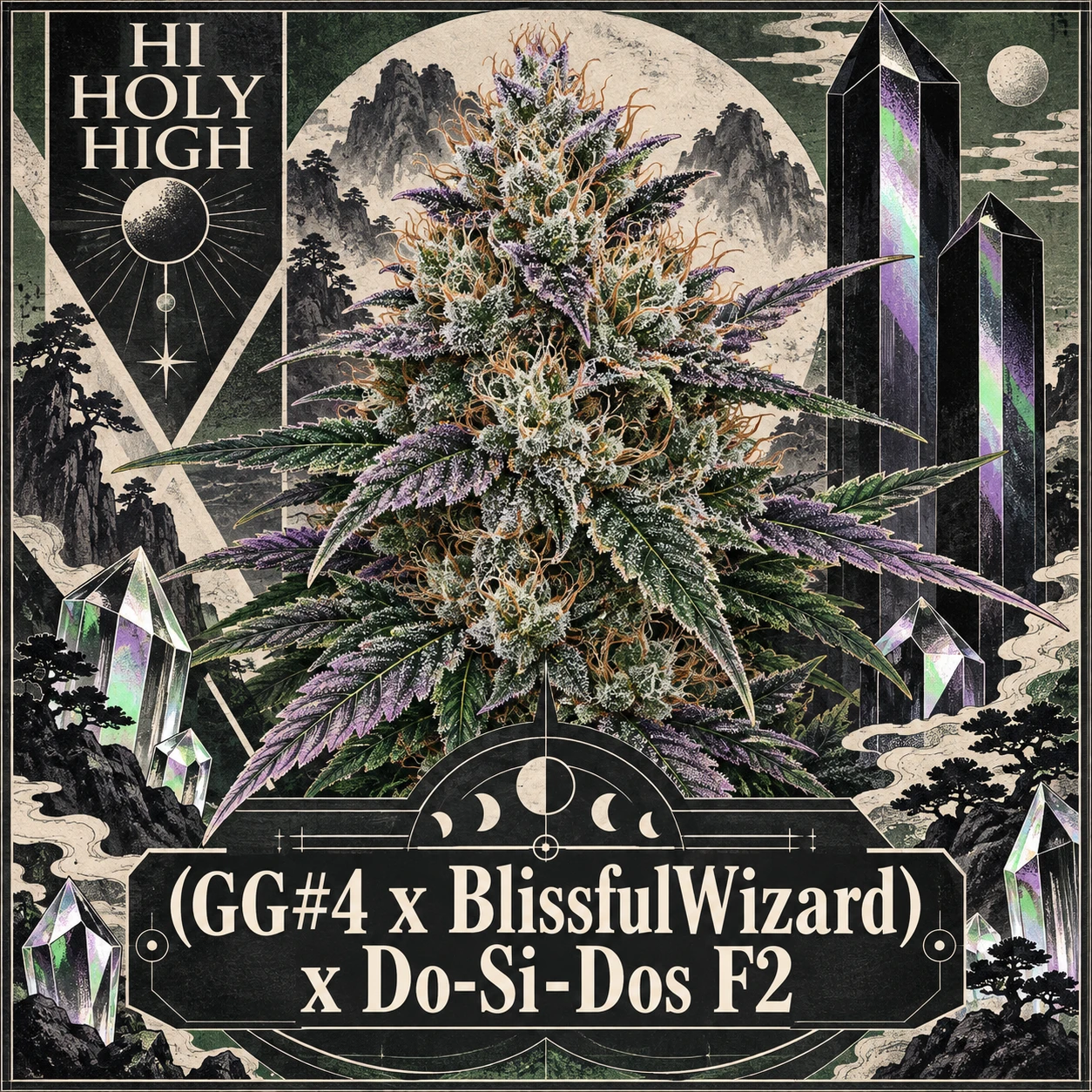 Vorläufiger Entwurf B-S2 · (GG#4 x BlissfulWizard) x Do-Si-Dos F2