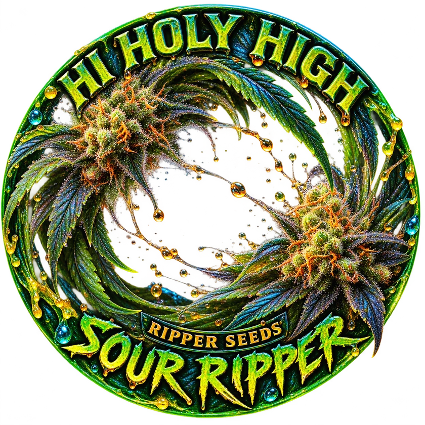 Bestbewertete runde Kunst für SOUR RIPPER (RIPPER SEEDS)