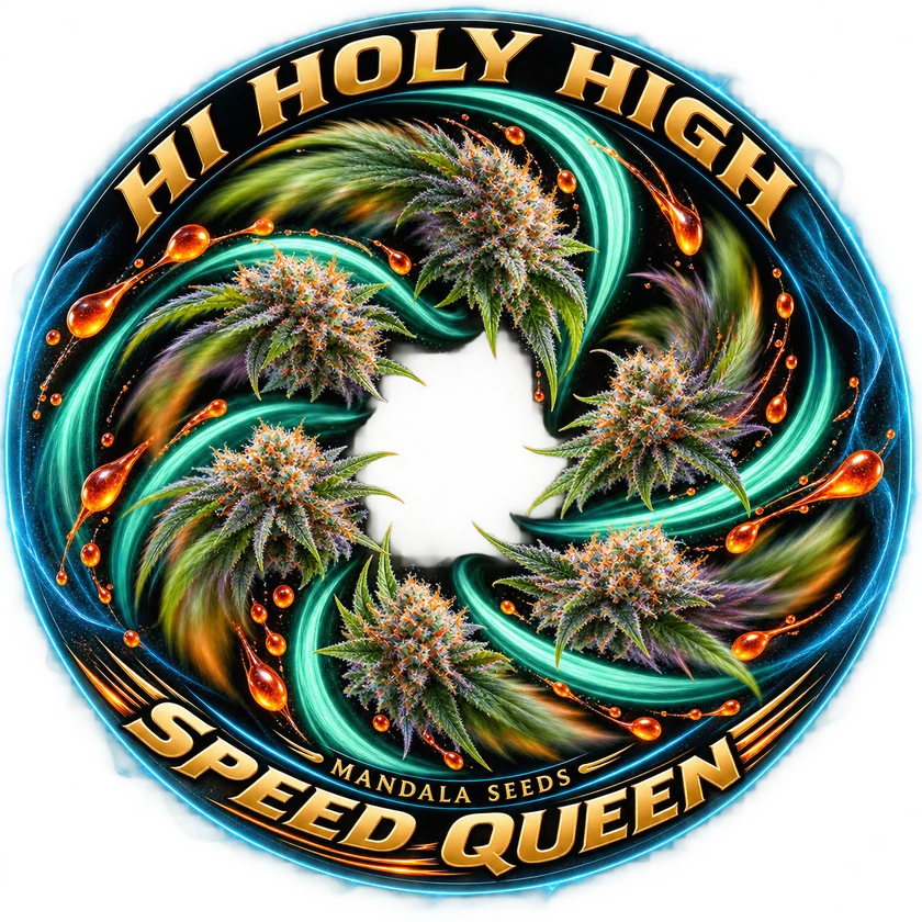 Bestbewertete runde Kunst für Speed Queen – Mandala Seeds