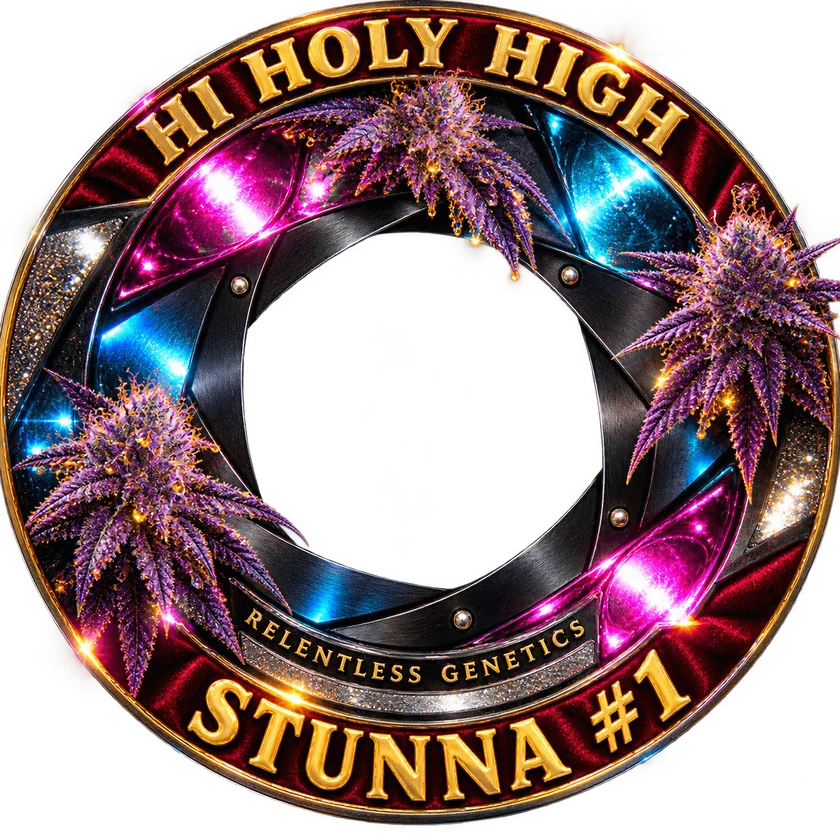 Top-rated round artwork for STUNNA #1
