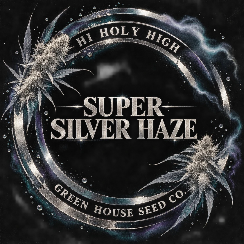 Top-rated round artwork for SUPER SILVER HAZE