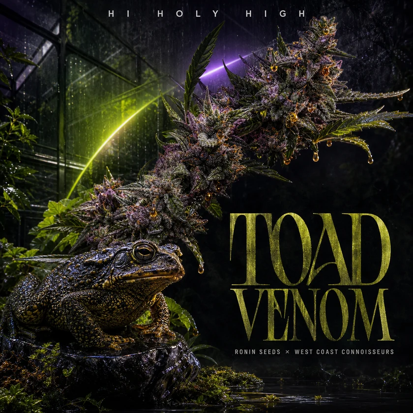 Bestbewertete quadratische Kunst für TOAD VENOM