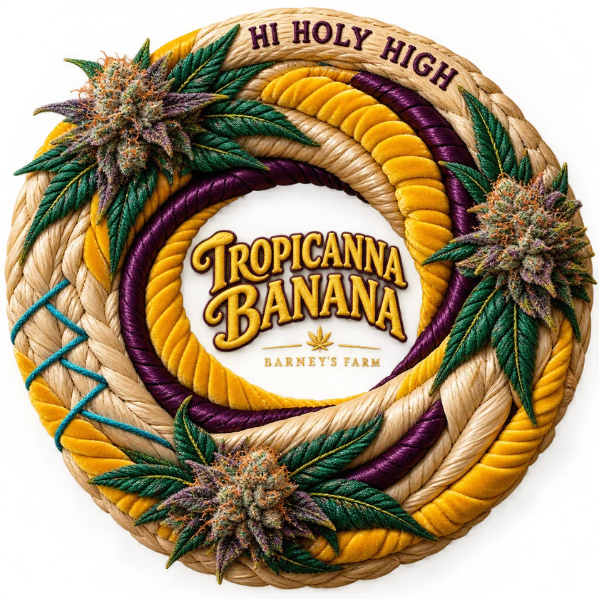 Bestbewertete runde Kunst für TROPICANNA BANANA