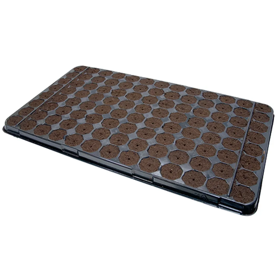 Plug-in tray · 104 cells