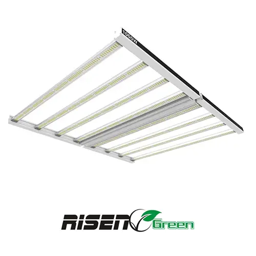Risen Pro 1000 W