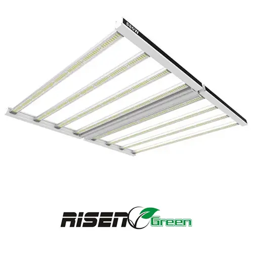 Risen Pro 880 W